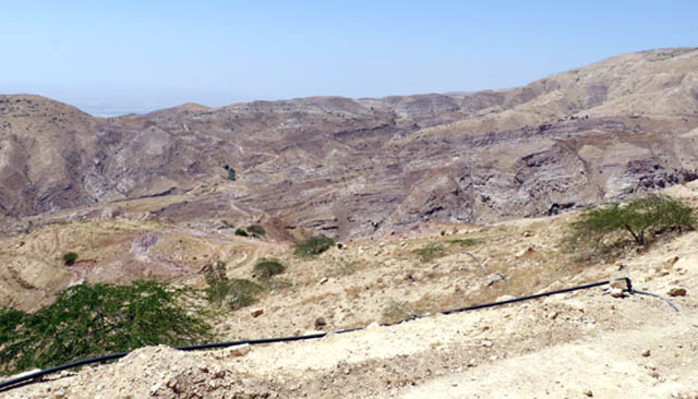 The Humret Al Salt afforestation project is being implemented in Salt city, according to the Agriculture Ministry (Photo courtesy of the Ministry of Agriculture)